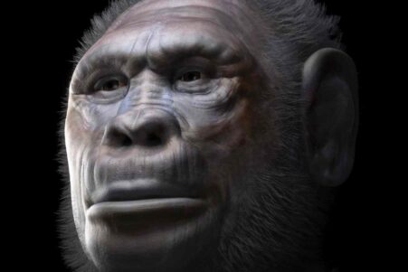 deux-anciens-humains-couv