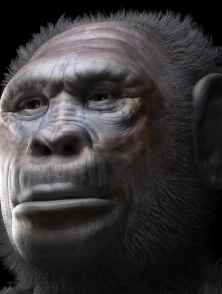 deux-anciens-humains-couv