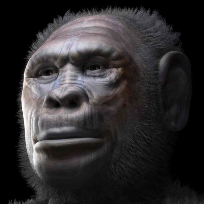 deux-anciens-humains-couv