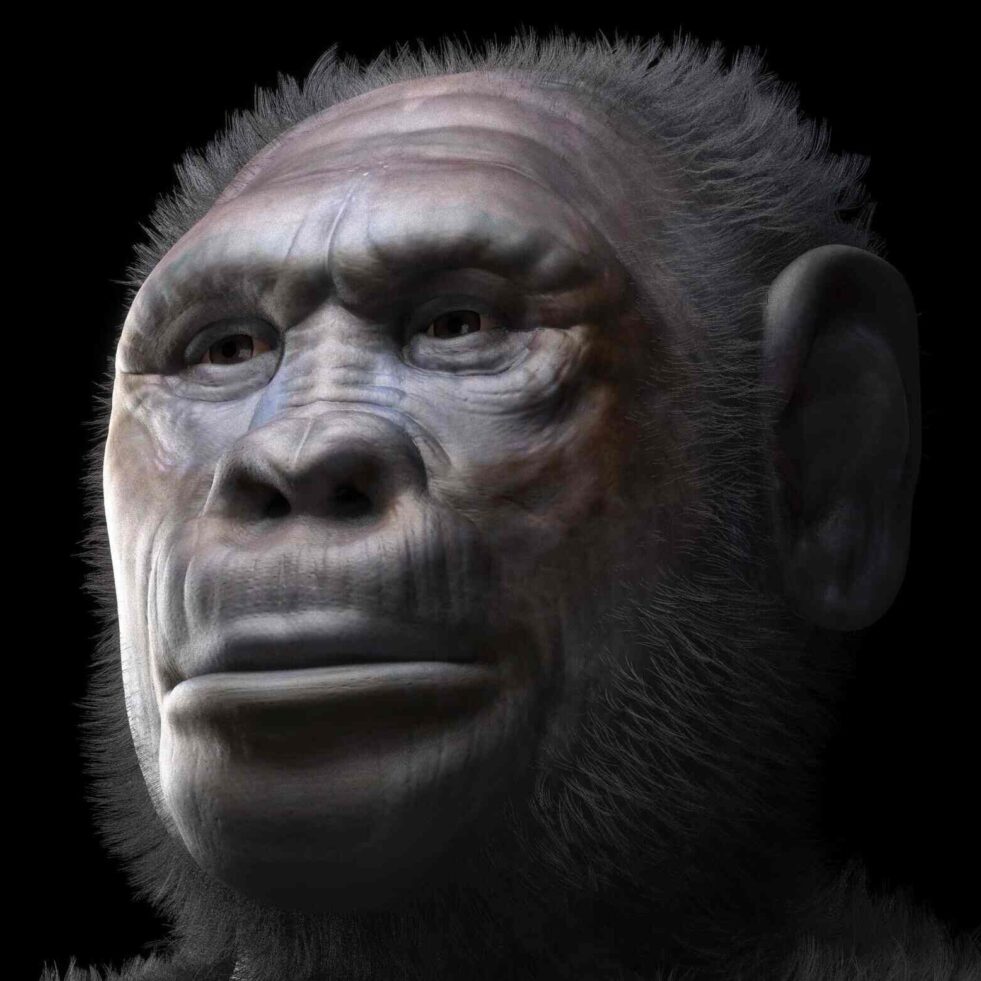 deux-anciens-humains-couv