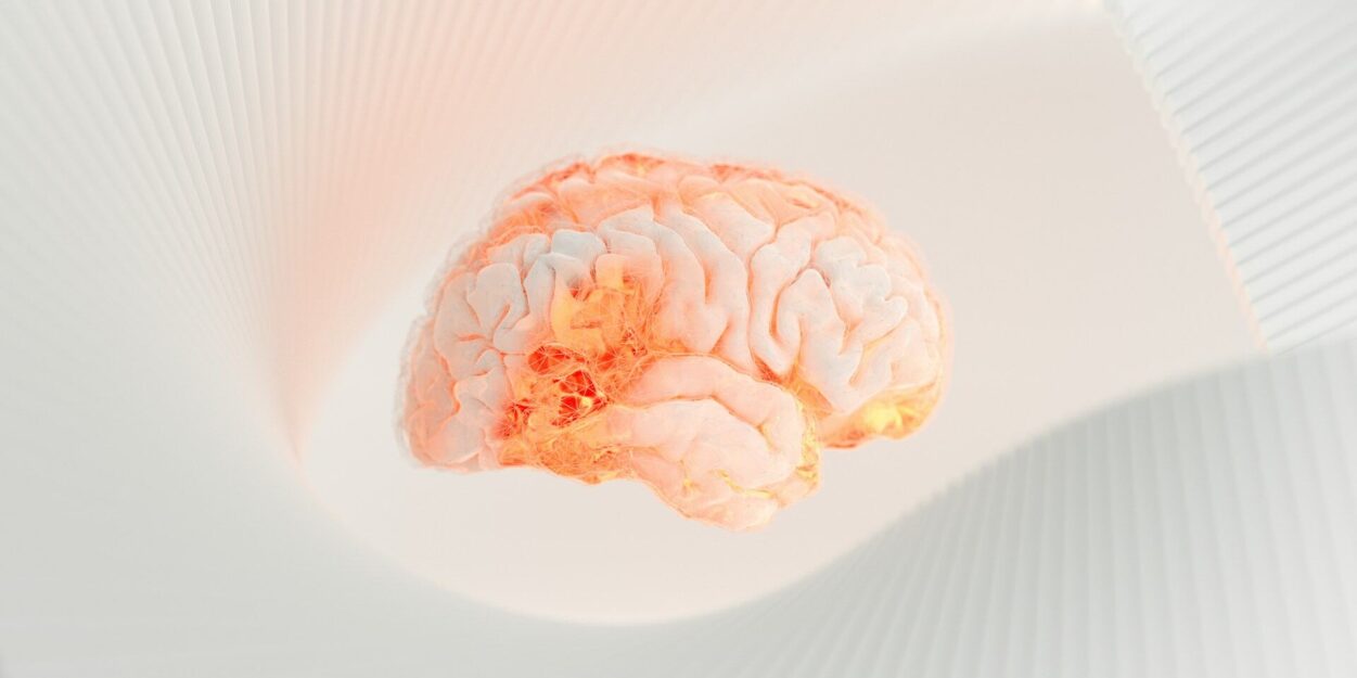 developpement-cerveau-25-ans-couv