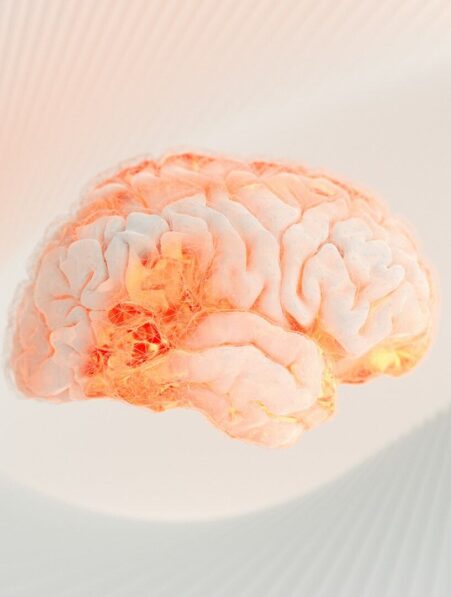 developpement-cerveau-25-ans-couv