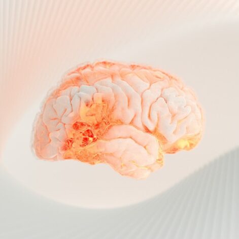 developpement-cerveau-25-ans-couv