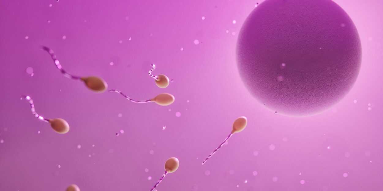 donneur-sperme-cancer-couv