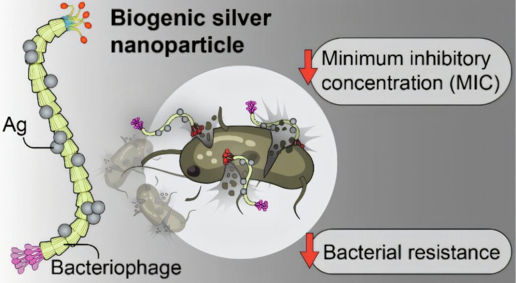 nanoparticules-argents