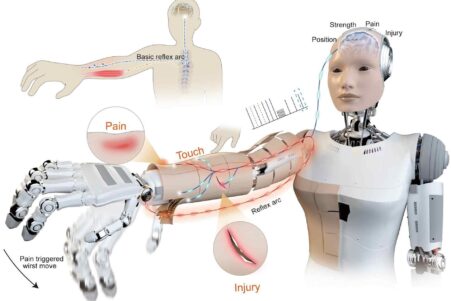 peau-robotique-douleur-couv