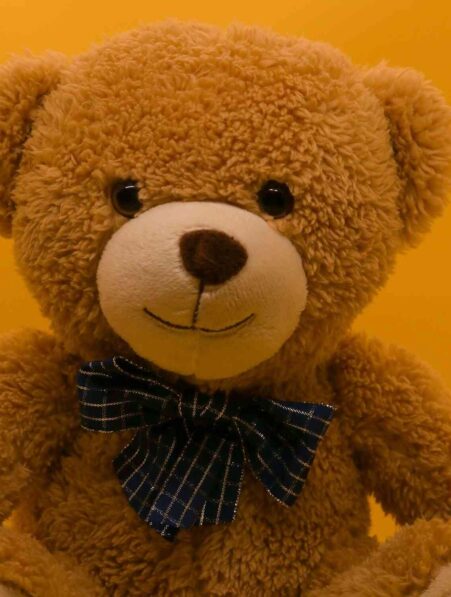 peluche-IA-bdsm-couv