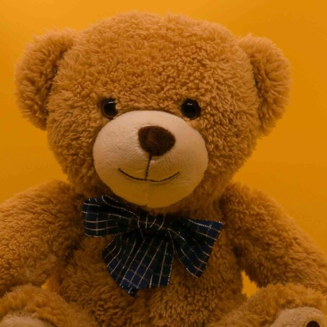 peluche-IA-bdsm-couv