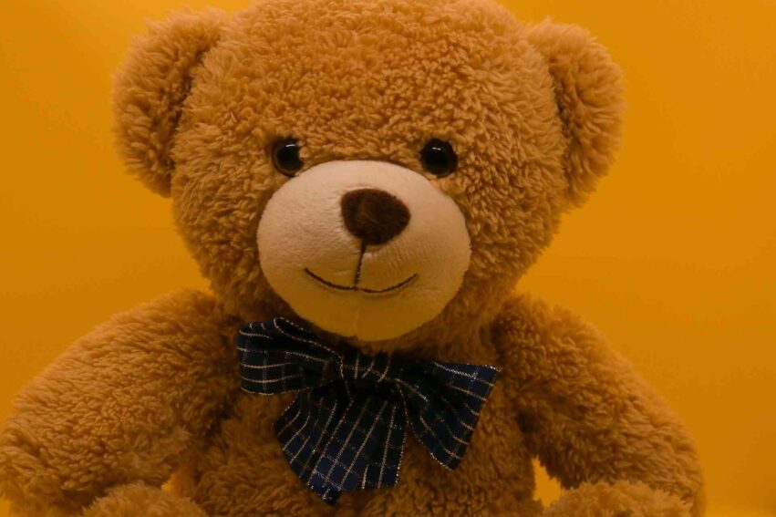 peluche-IA-bdsm-couv