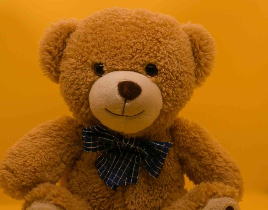 peluche-IA-bdsm-couv