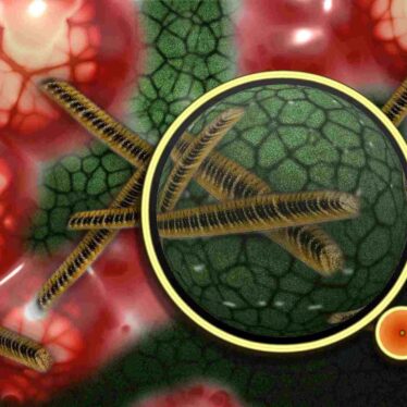 peste-noire-eruption-volcanique-couv