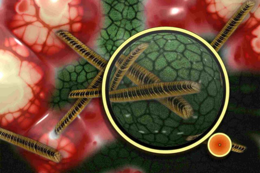 peste-noire-eruption-volcanique-couv