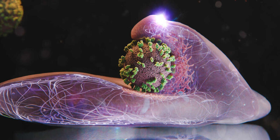 supermicroscope-virus-grippe-couv