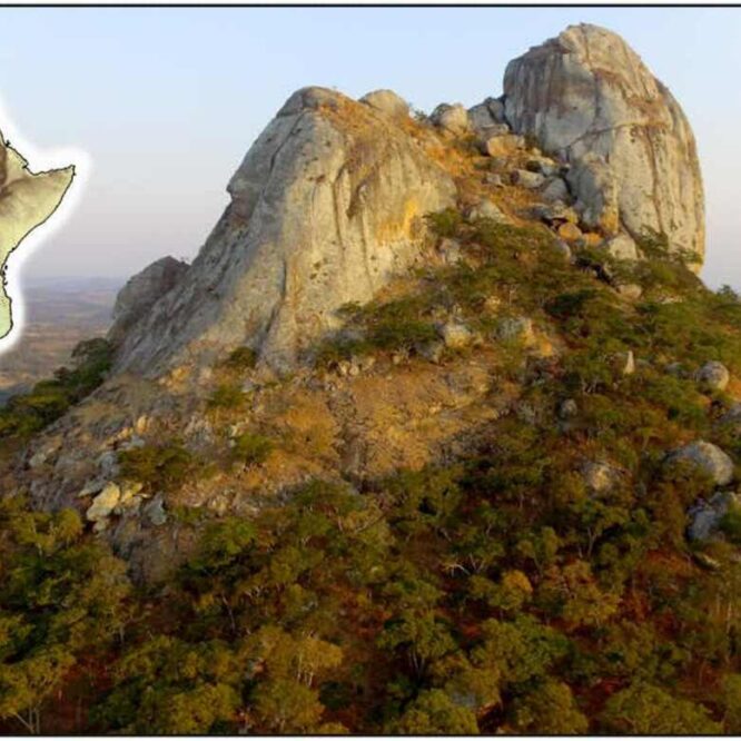 bucher-funeraire-ancien-couv