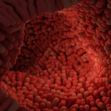 car-therapie-autoregenere-intestin-couv