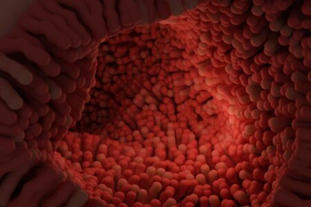 car-therapie-autoregenere-intestin-couv