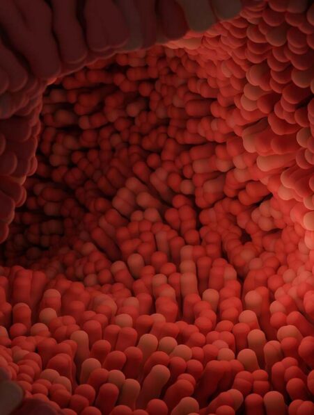 car-therapie-autoregenere-intestin-couv