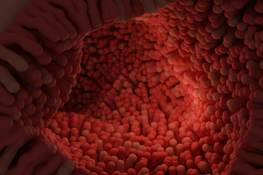 car-therapie-autoregenere-intestin-couv