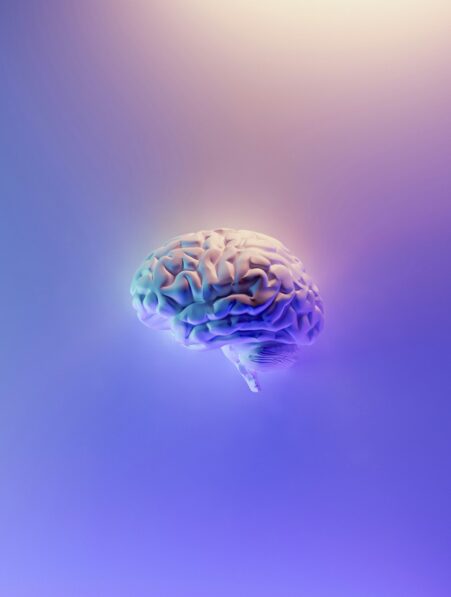 difference-sexes-cerveau-couv