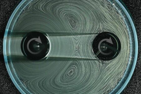 engrenages-fluides-sans-dents-couv