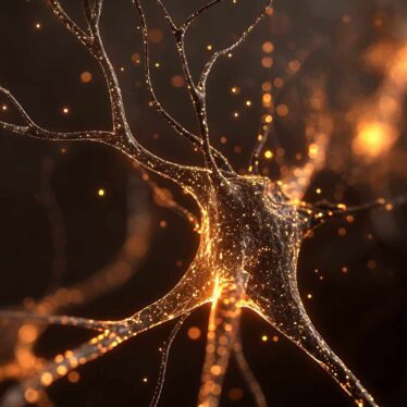 eponge-douleur-cerveau-couv