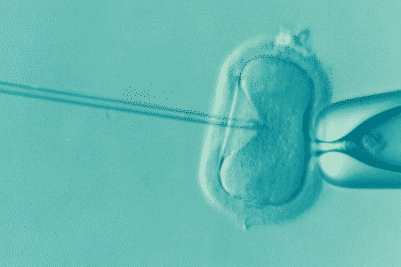 proteine-rajeunir-ovules-couv