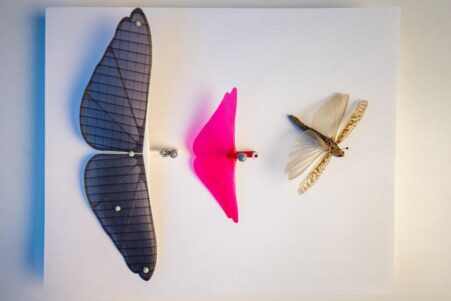 robots-planeurs-sauterelles-couv