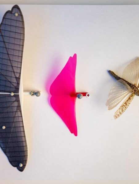 robots-planeurs-sauterelles-couv