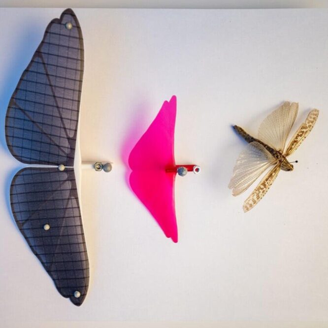 robots-planeurs-sauterelles-couv