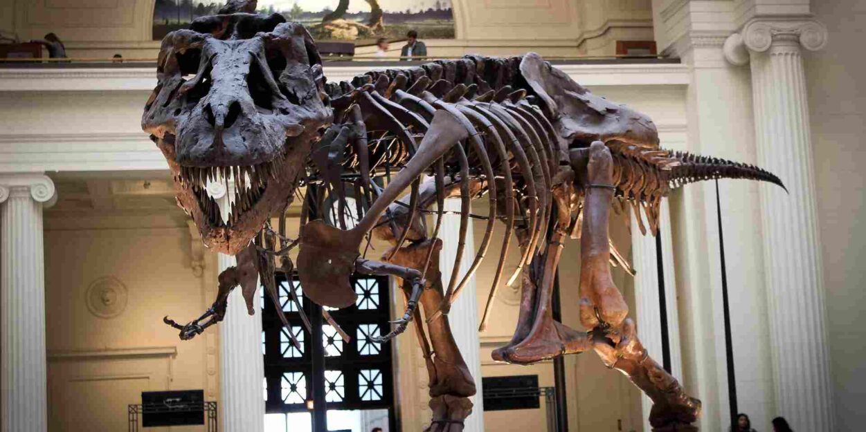 t-rex-40-ans-grandir-couv