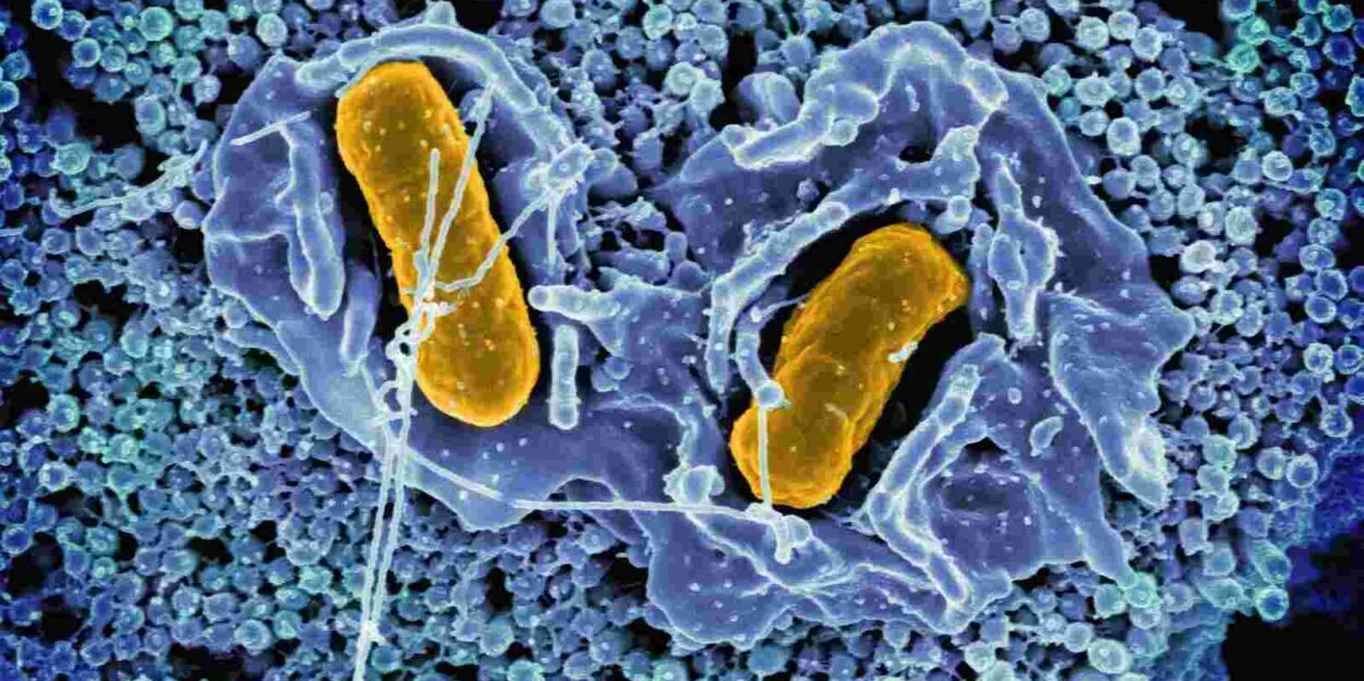 bacteries-resistantes-antibiotiques-modernes-couv