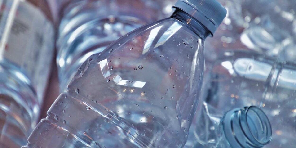 bispheno-a-metabolisme-couv