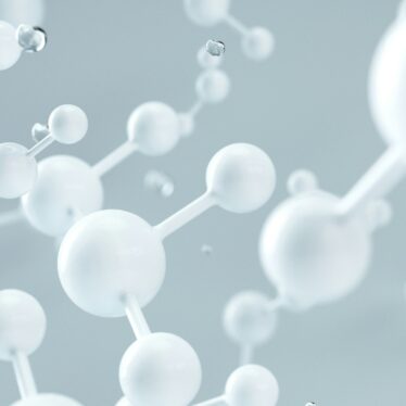 bisphenol-a-masculinisation-feminisation-couv