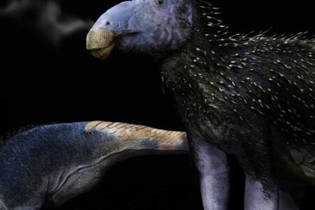 dinosaure-piquants-couv