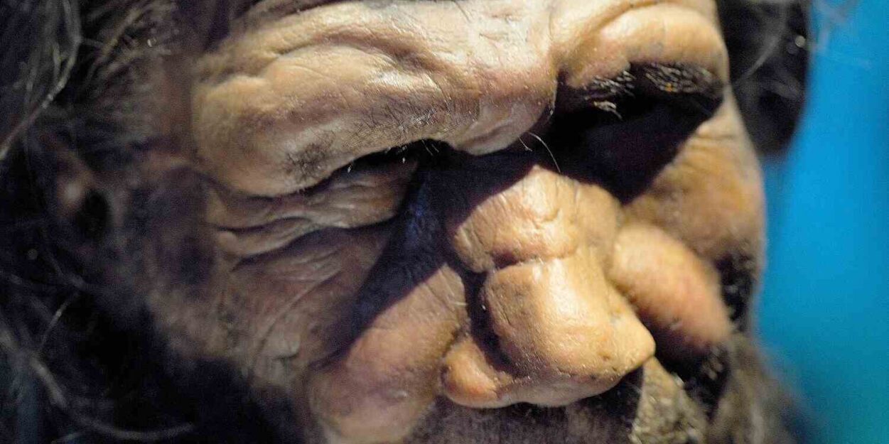 neandertaliens-lacunes-ia-couv