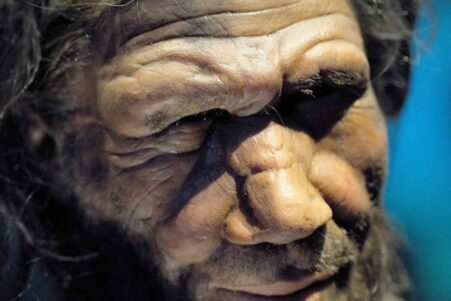 neandertaliens-lacunes-ia-couv