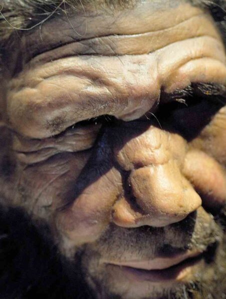 neandertaliens-lacunes-ia-couv