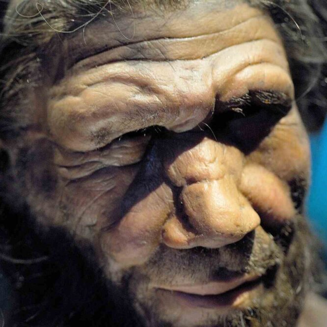 neandertaliens-lacunes-ia-couv