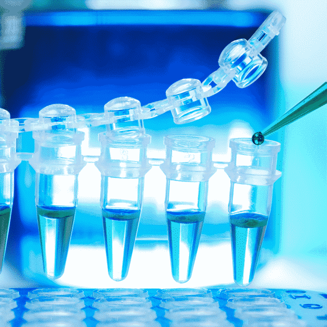 tests-microbiote-instetinal-kits-couv