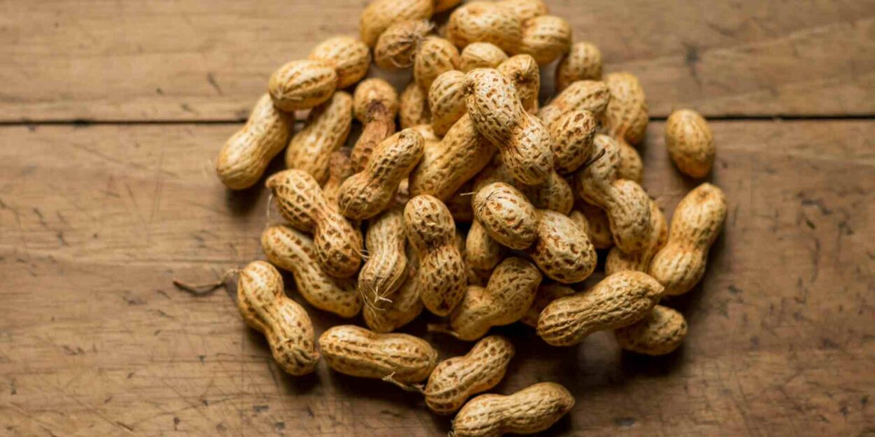 bacteries-bouche-intestins-allergie-arachides-couv