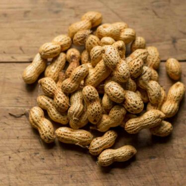 bacteries-bouche-intestins-allergie-arachides-couv