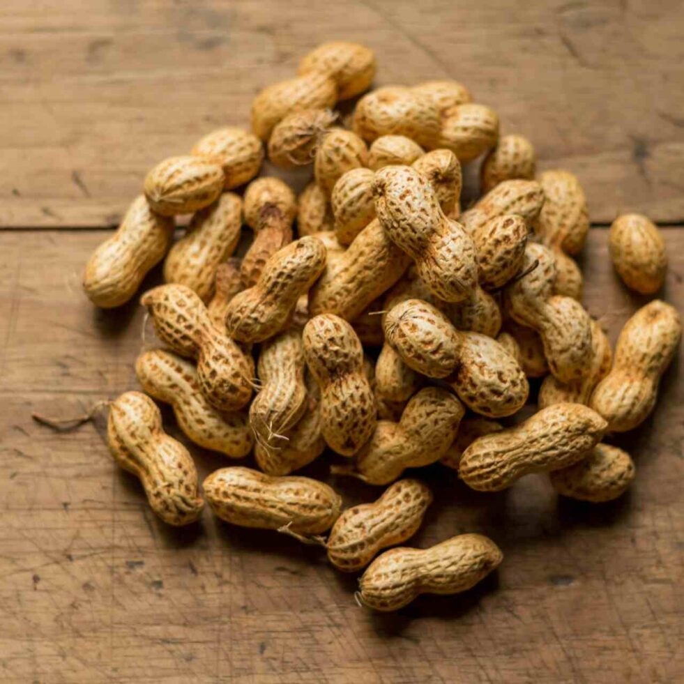 bacteries-bouche-intestins-allergie-arachides-couv