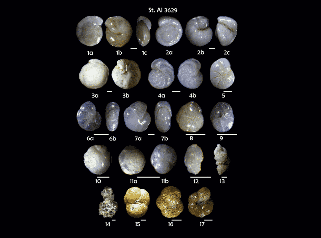 climat-rotation-terre