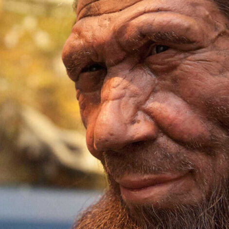 Hommes-neandertaliens-accouples-homo-sapiens-couv