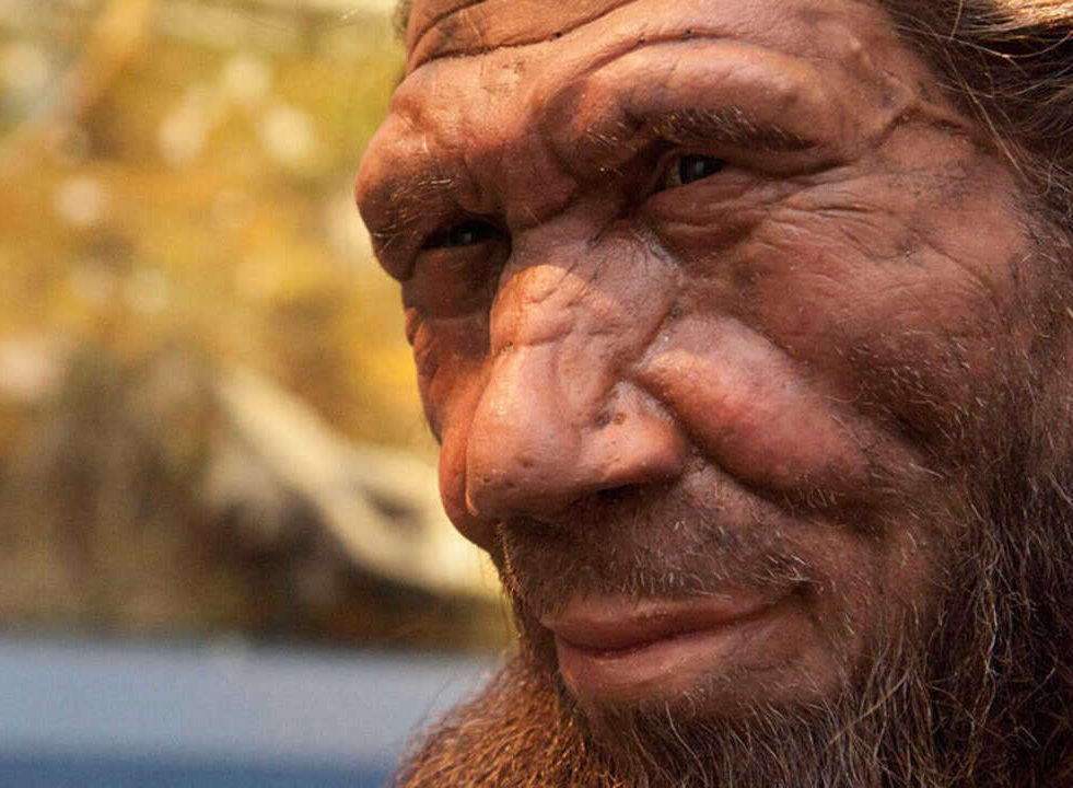 Hommes-neandertaliens-accouples-homo-sapiens-couv