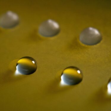 proteines-champignons-geler-couv