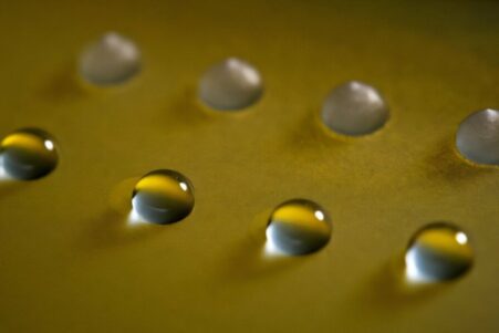 proteines-champignons-geler-couv