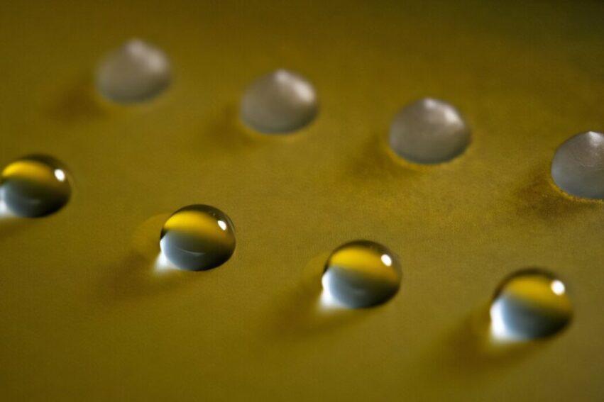 proteines-champignons-geler-couv