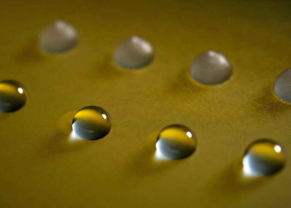 proteines-champignons-geler-couv