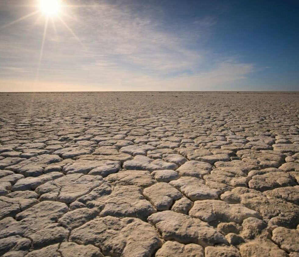 secheresse-resistance-antibiotique-couv